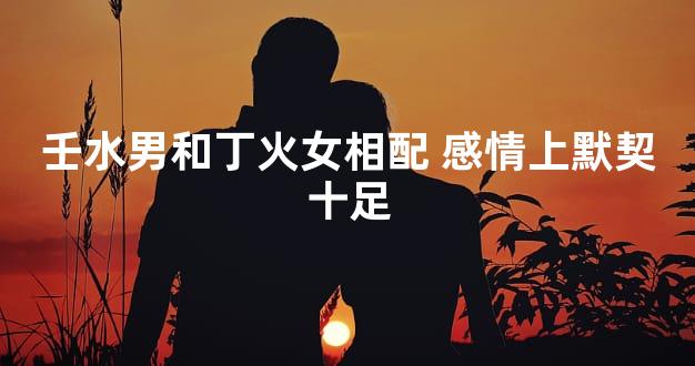 壬水男和丁火女相配 感情上默契十足